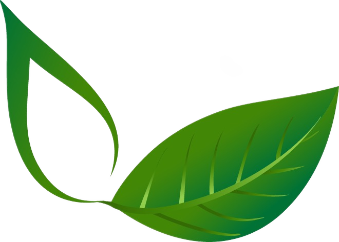 Left Leaf